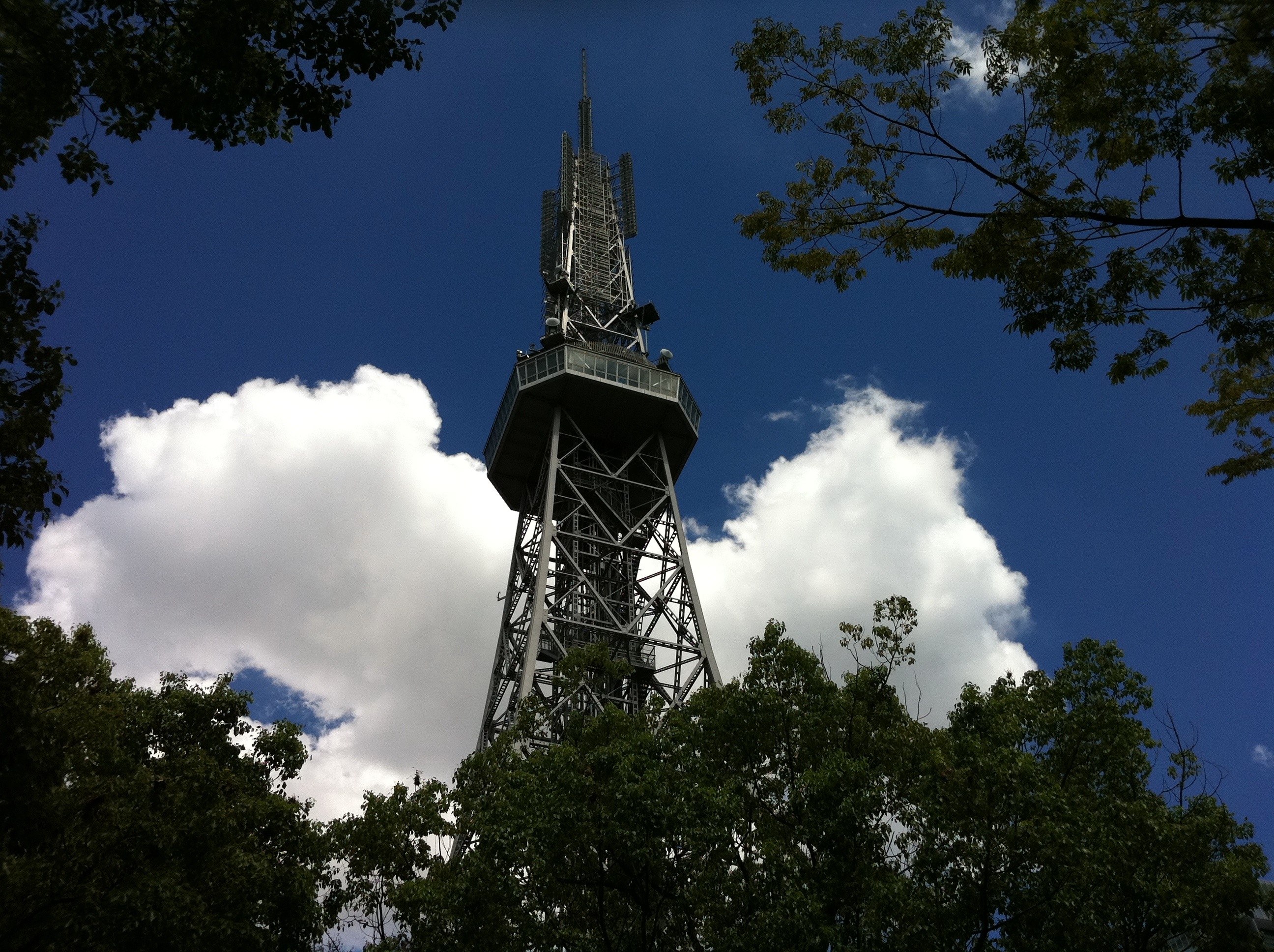 20110915-062650.jpg